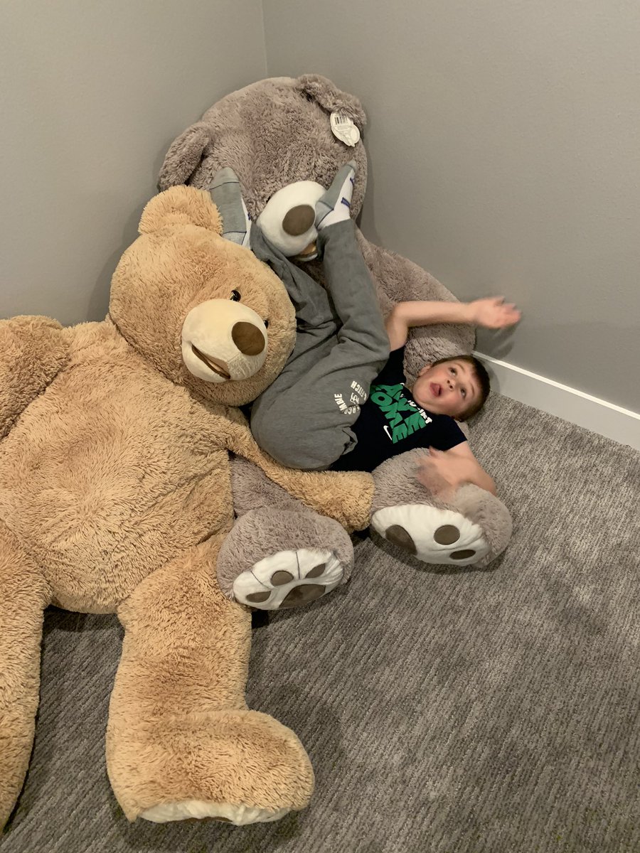 MrsBartsch's tweet image. Stuffed animal day at Discovery School (home) today! #trailblazeon