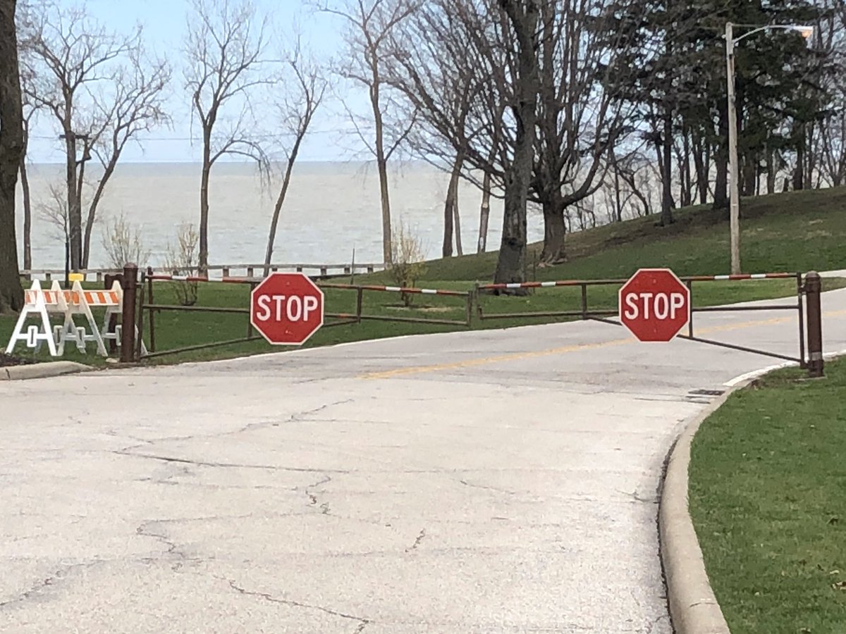 Mark Ross tweet media