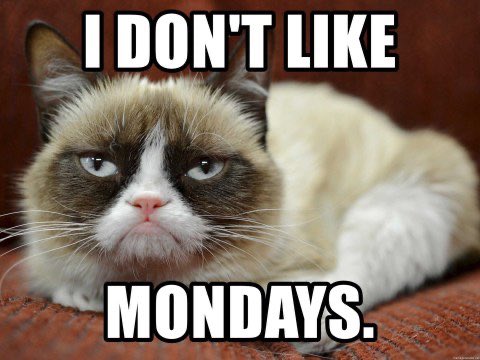 RealGrumpyCat's tweet photo. https://t.co/r7crfh56bi
