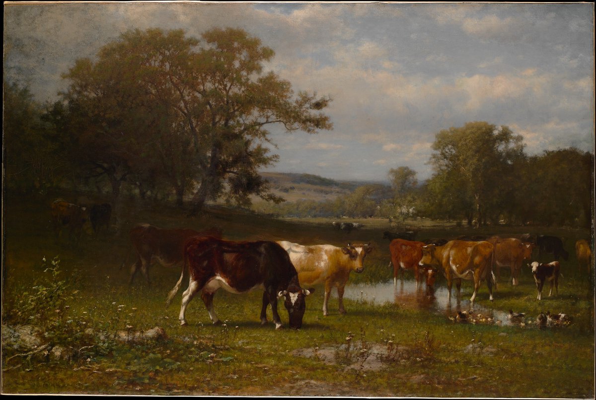 not a cellphone in sight. just cows grazing in the moment. absolutely beautiful. i wish i could be one of them