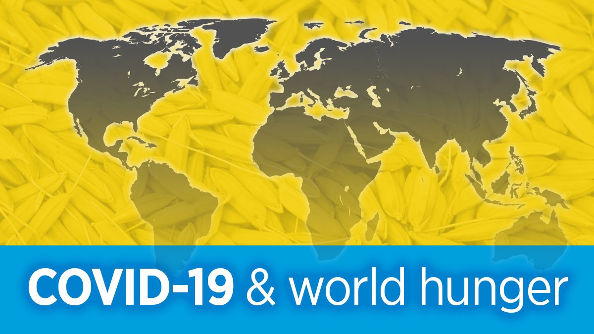 Foodgrains's tweet photo. Thurs 3pm CT our ED @j_cornelius1 will discuss how #COVID19 impacts #foodsecurity &amp; how we're responding. Partner staff working in developing countries will join to talk about the impact in their communities, followed by a live Q&amp;A. Register free: https://t.co/yU8Q2tj2Yf https://t.co/HF4bENHgXh
