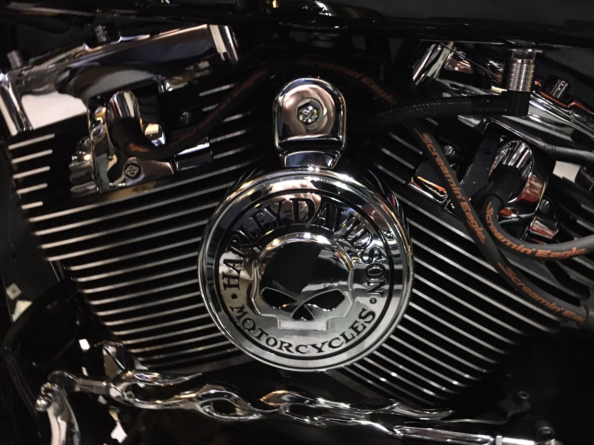 JeffPerron7's tweet photo. #harleydavidson #fxdf #dyna @exhaustedcycles https://t.co/jNYunLKpBX