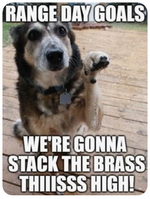 WellArmedWoman's tweet image. I can&apos;t wait to get back to the range!

#gunhumor #rangeday #imissthegunrange