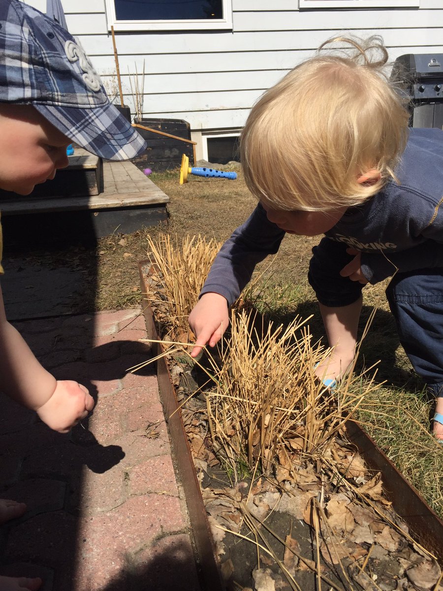 YYCisolation tweet media