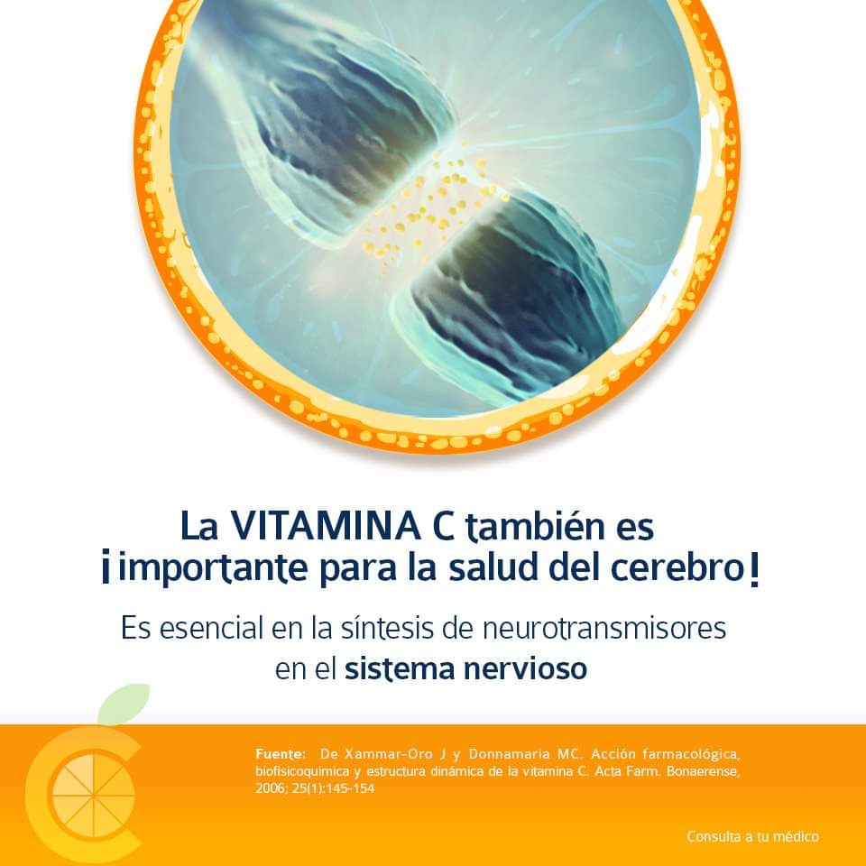 Consume todos los días vitamina C.
#RodajasDeBienestar #VitaminaC #SaludEnPlenitud
Visita rodajasdebienestar.mx y encuentra más información