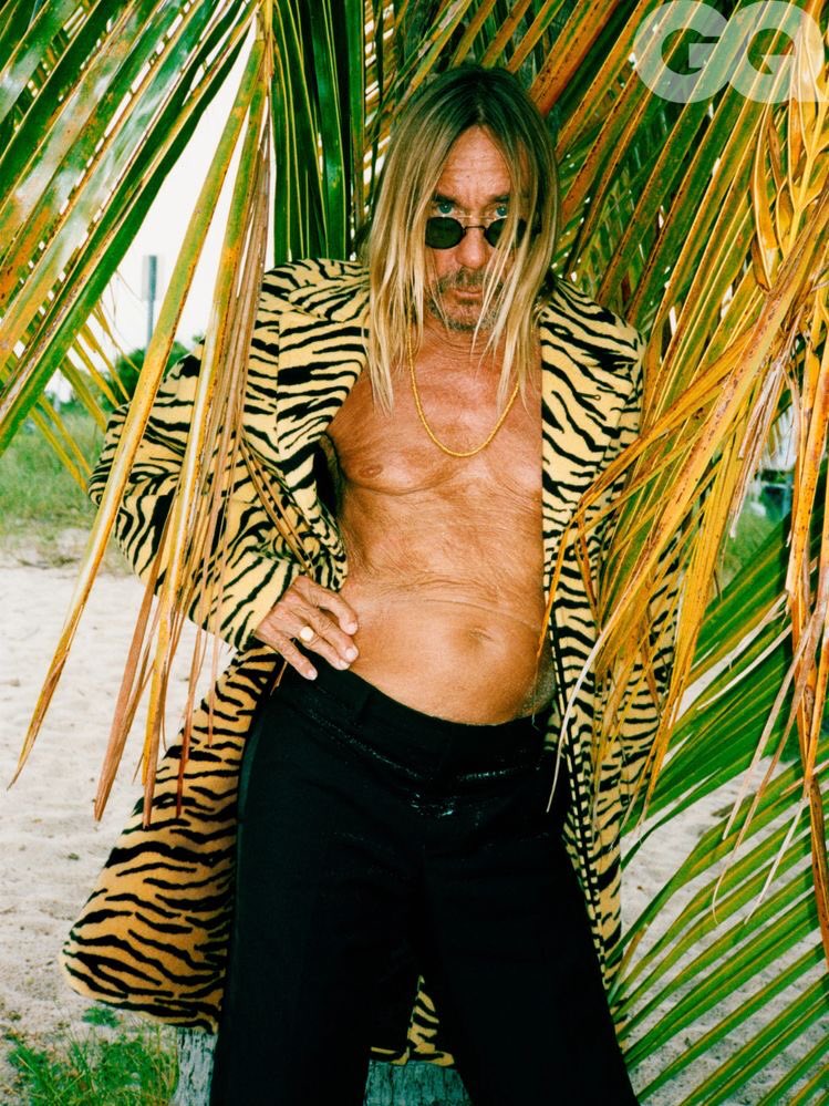 HAPPY BIRTHDAY IGGY POP     GIMME DANGER    