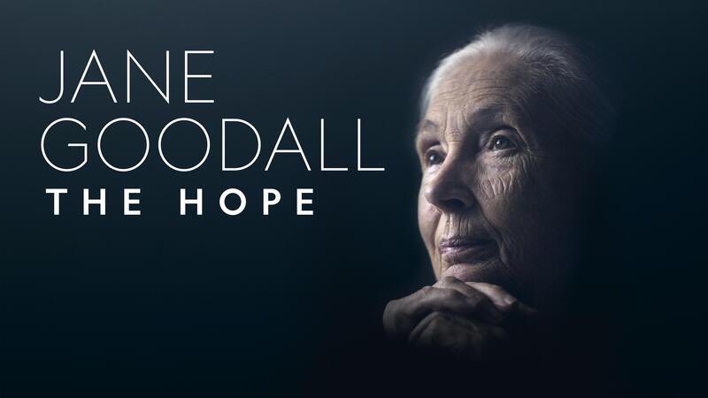 Watch the premiere of Jane Goodall: The Hope airing this Earth Day, April 22nd on National Geographic at 9/8c. #JaneTheHope #EarthDay