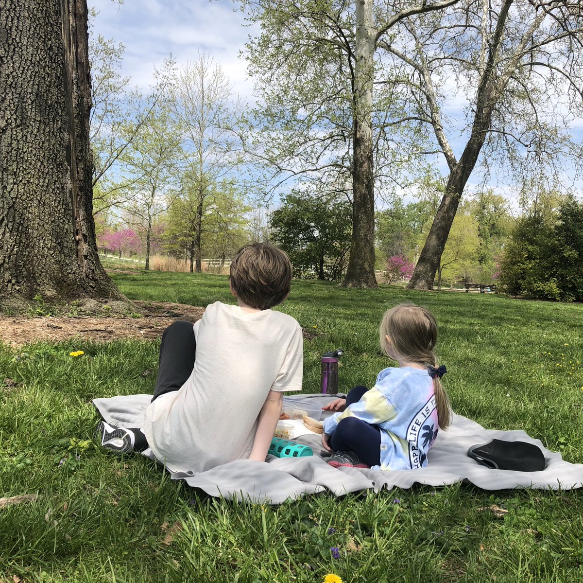 Jodi Rasche Rivers tweet media