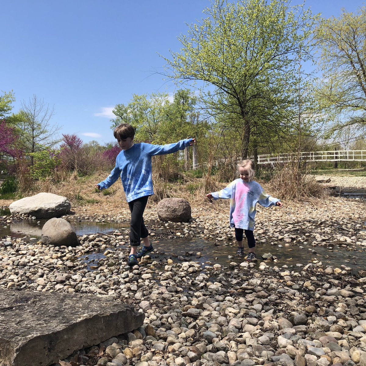 Jodi Rasche Rivers tweet media