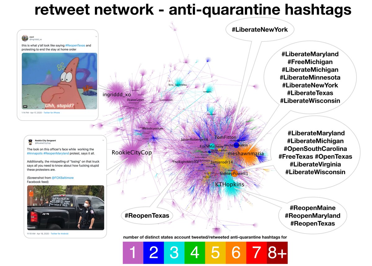 Retweet network for the anti-quarantine hashtags. The main cluster consists of right-wing accounts, including Michigan Trump campaign co-chair  @meshawnmaria and Michael Flynn's attorney  @SidneyPowell1, both of whom tweeted hashtags in favor of "opening" six different states.