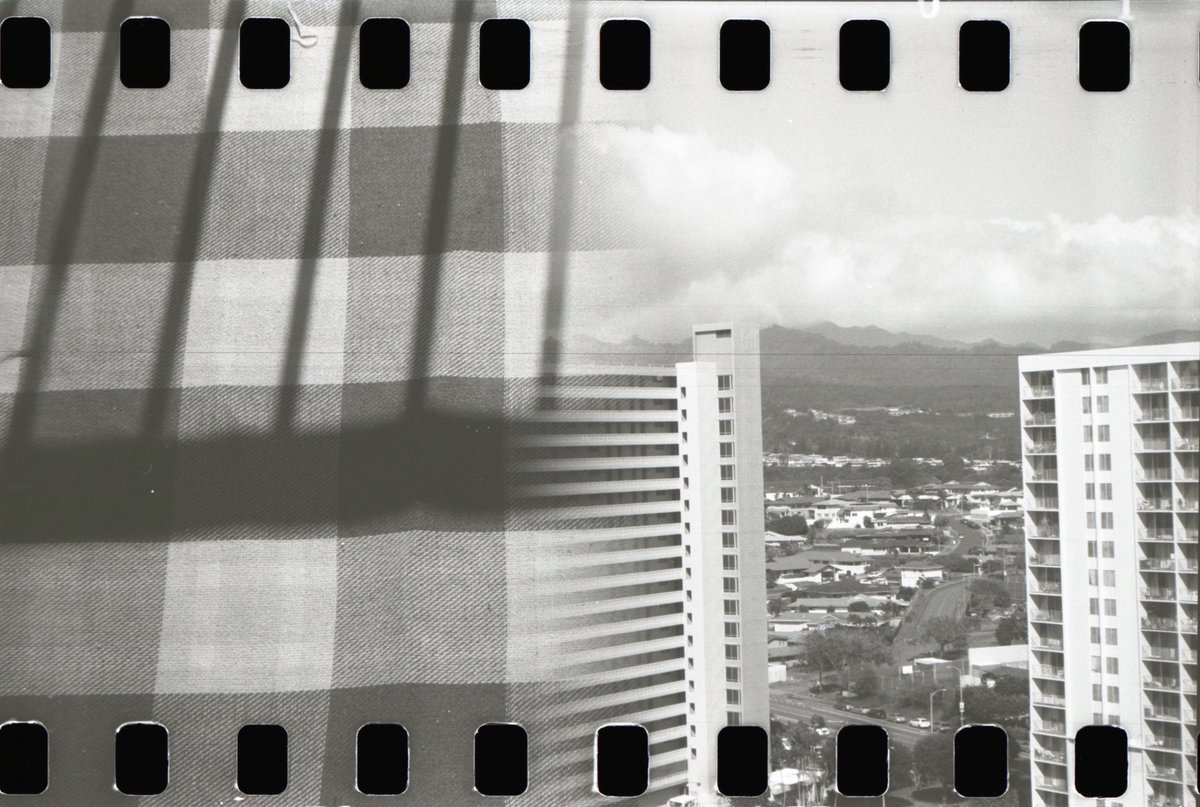 3eyedmonster's tweet photo. I’m disappointed that this roll was scratched but they are still fun #splitzer images. #fomapan200 #35mm #dianaf #sprocketholes #believeinfilm https://t.co/DL0NrFPiFf