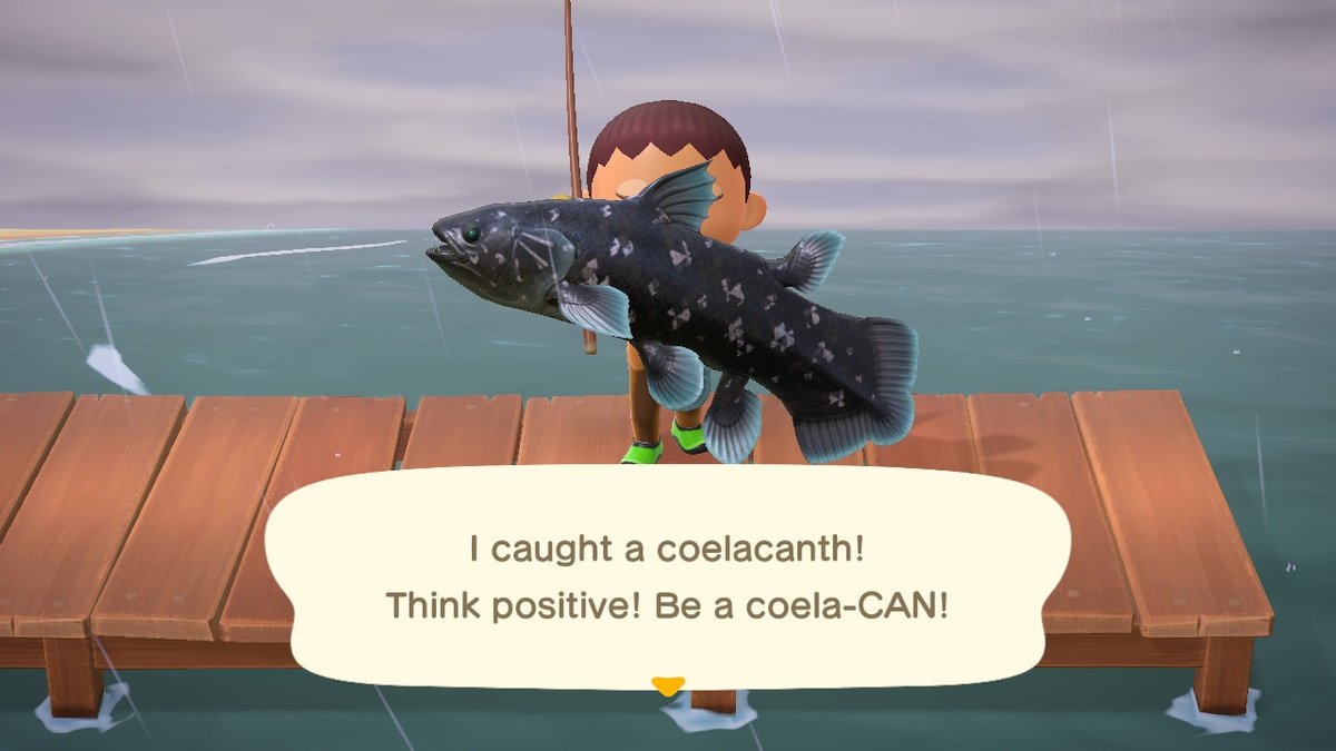 KenASugimoto's tweet photo. #AnimalCrossing #ACNH #NintendoSwitch https://t.co/va7G8uOKxE