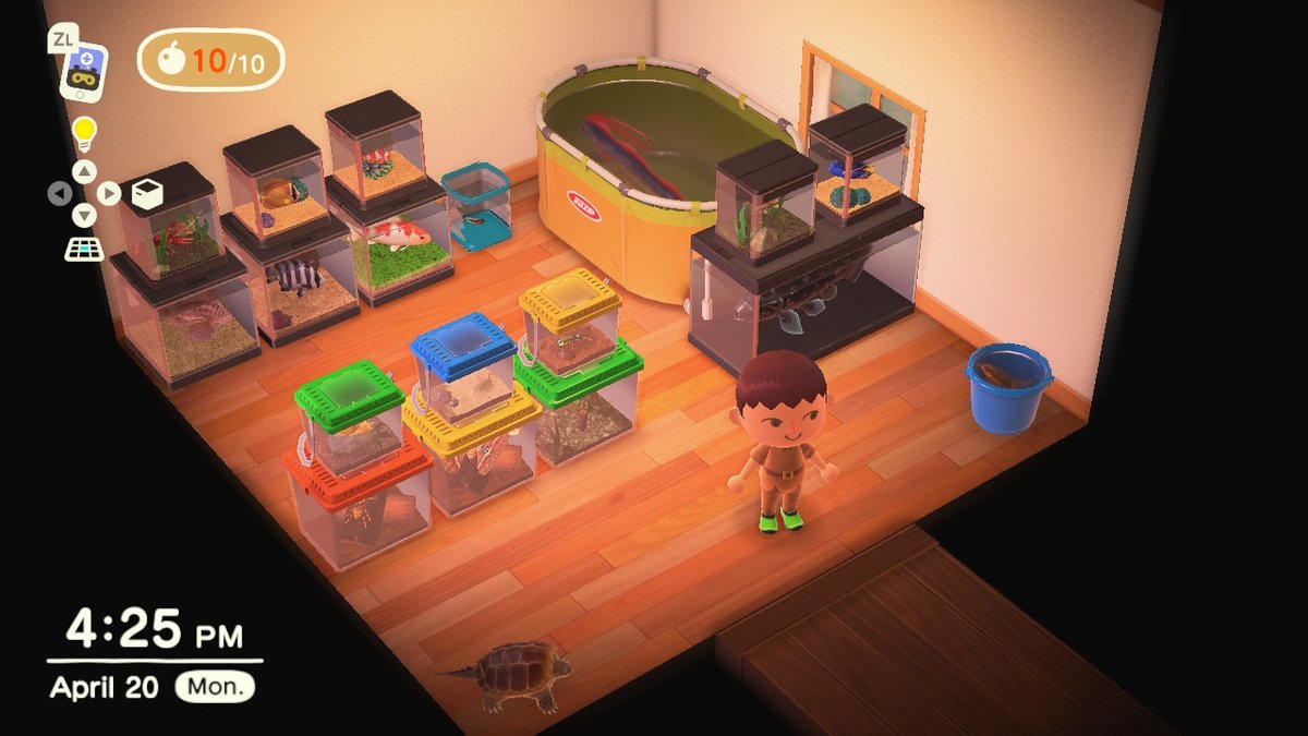 KenASugimoto's tweet photo. #AnimalCrossing #ACNH #NintendoSwitch https://t.co/va7G8uOKxE