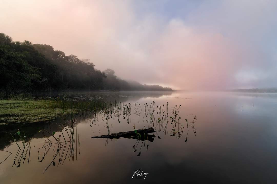 mberbetty's tweet photo. "La razón humana es una gota de luz en un lago de tinieblas."
- Jean Louis Commerson
#citas #fotofrases #literatura https://t.co/Y9nVXC0qa8