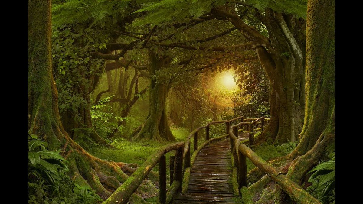 GirlsDoSTEAM's tweet photo. In spirit of #EarthDay2020, check out the next few posts for activities in our journal! Nature Walk- Go for a walk in the park. Notice leaves, and anything else you see. Order yours at https://t.co/jhyE2ugJaS now! All funds go to STEAM programs in underrepresented schools. #stem https://t.co/EkDU9l4aYp