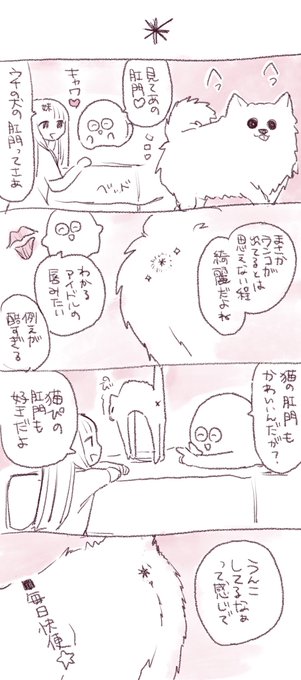 私と犬と猫と妹 