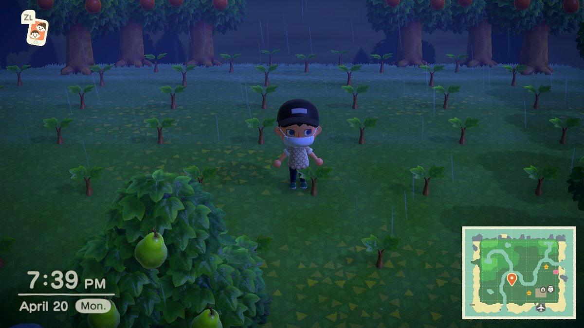 sa pousse pas #AnimalCrossing #ACNH #NintendoSwitch