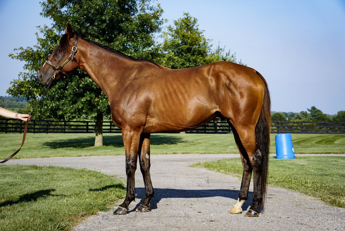 torijada6's tweet image. 2018➡️2020
Makin’ money moves #smarttransition #ottb