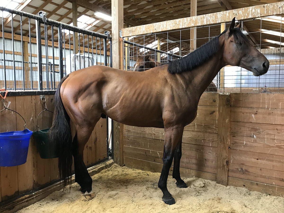 torijada6's tweet image. 2018➡️2020
Makin’ money moves #smarttransition #ottb