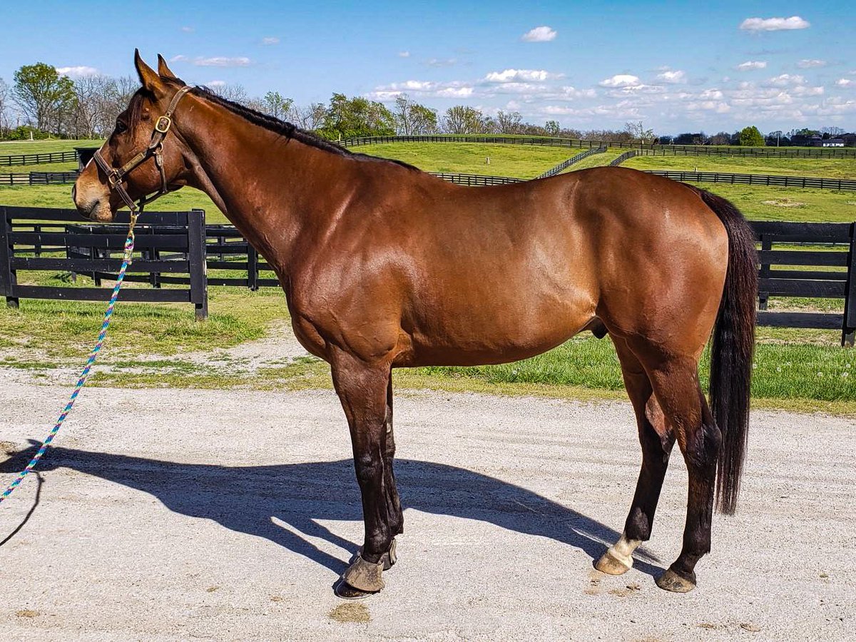 torijada6's tweet image. 2018➡️2020
Makin’ money moves #smarttransition #ottb