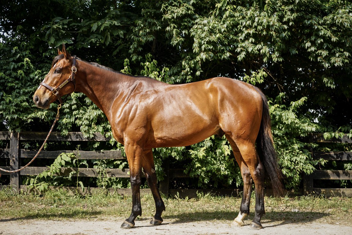 torijada6's tweet image. 2018➡️2020
Makin’ money moves #smarttransition #ottb