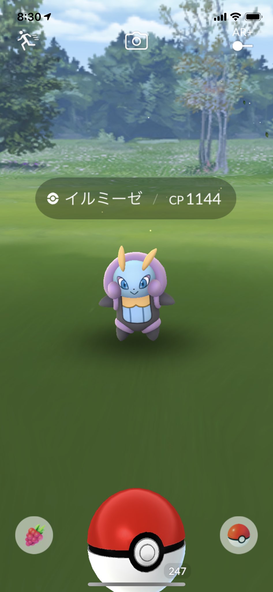 ポケモンgo 本気案件 相棒イベント 開始 色違いイルミーゼに全てを賭けろ ロケットニュース24