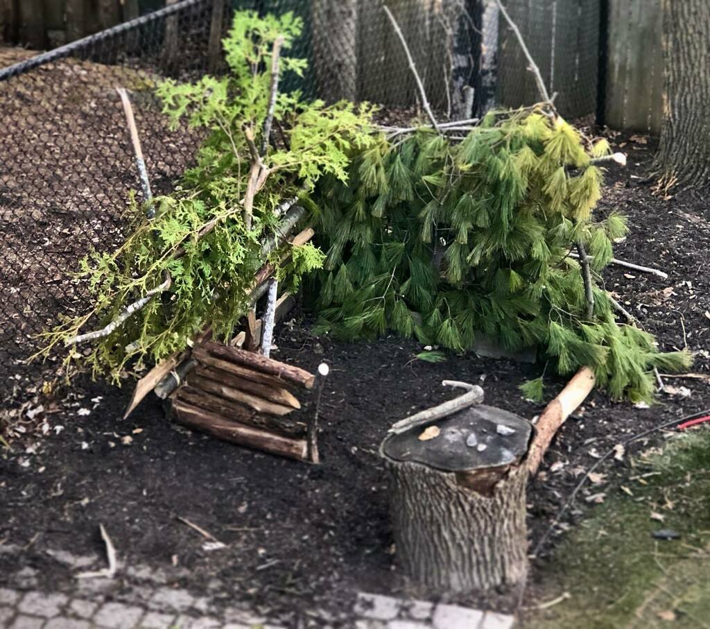 EvanMcCosham's tweet photo. Chrissy seems to be fashioning some sort of husband-dog-house for me in the backyard...
@clmccosham https://t.co/oVsoHVtEWC