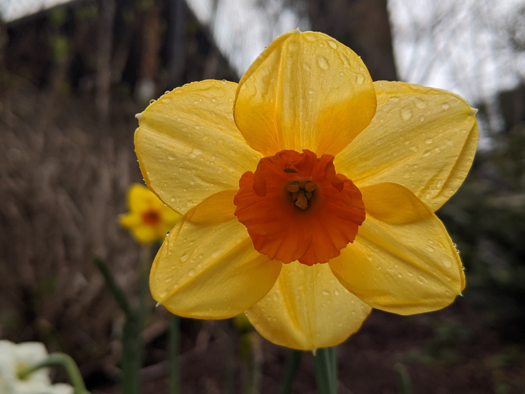 CompassionTea's tweet image. Pondering Death compassiontea.wordpress.com/2020/04/20/pon…