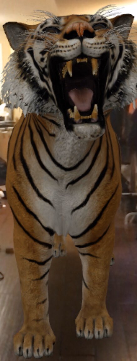 Ehanator9's tweet photo. #tigersStayWithOnlyThereFamilySoCanWe https://t.co/uL8AwLDAFH