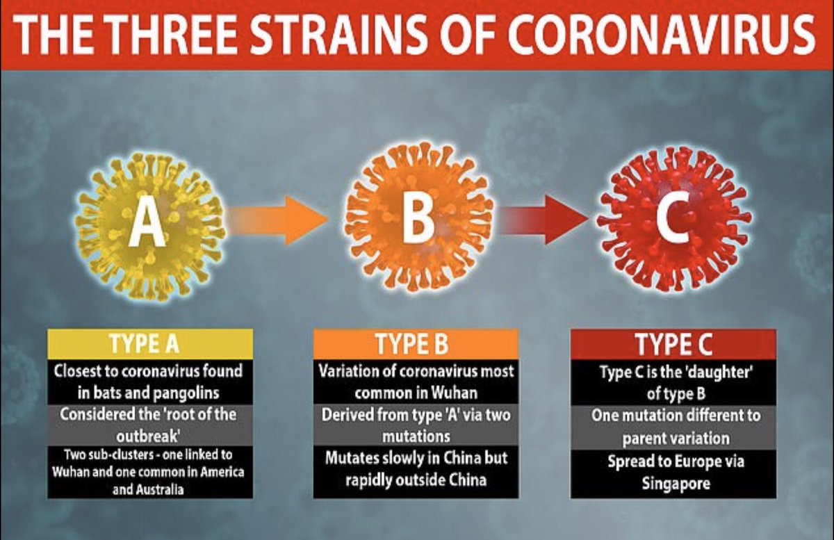 It has been determined there are 3 types of  #COVIDー19, of those, China had both types A and B strains. Of those 2 strains type B seems the more deadly. In Jan., the Wuhan nurse’s posting describes a mutation and a doctor posted he had the “fall down one”, a reference to a..