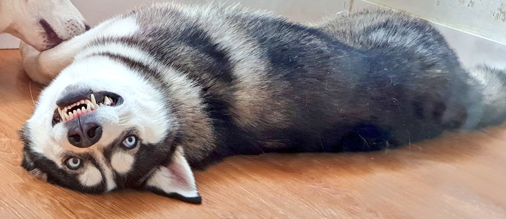 pixon608's tweet photo. Welcome back Twitter. A veces simplemente se necesita un descanso. https://t.co/C1G5q09LU0