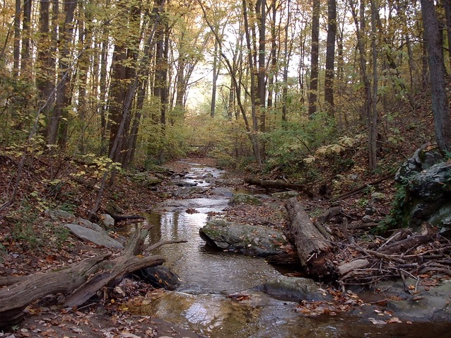 OregonRidge's tweet photo. We're a little partial to Oregon Ridge Park. Marshy Point, Cromwell Valley, Lake Roland and Banneker are also at the top of our list.
#BaltimoreCountyNAEC #NatureCenter #Naturalist #HikingTrails #LiveAnimals #DemoGardens #NatureEducation #MiningHistory #ObservationHive https://t.co/oZt9UetqBE