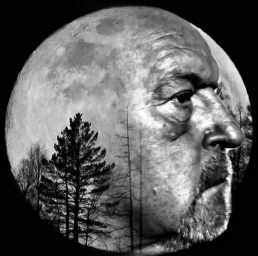 thpaul1's tweet photo. A friend altered a really bad selfie and carved trees into my lunar headscape #virus #COVID19 https://t.co/BmEJrtqVYD