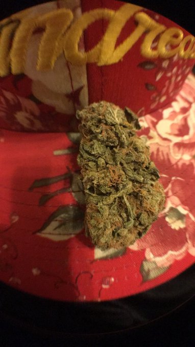 Happy 4/20 https://t.co/d2ZLCa0i6o<a href="/tag/happyeaster"class="tags"><span>#happyeaster</span></a><a href="/tag/quaikhalif"class="tags"><span>#quaikhalif</span></a>