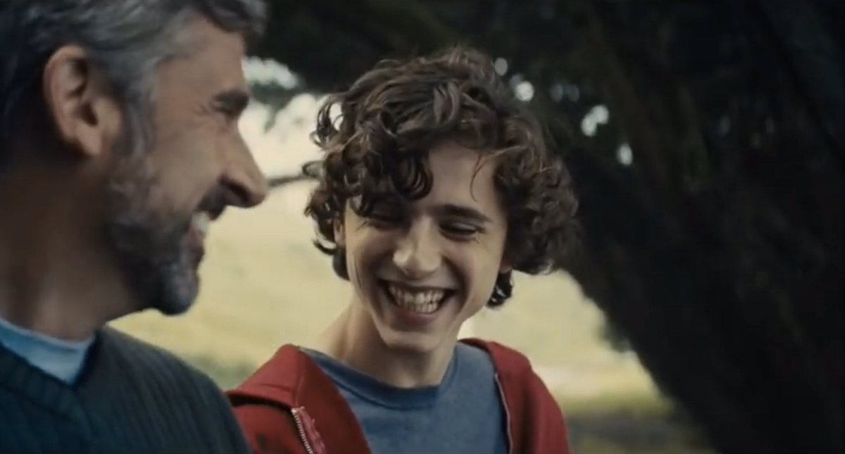 Beautiful Boy (2018) dir. Felix van Groeningen