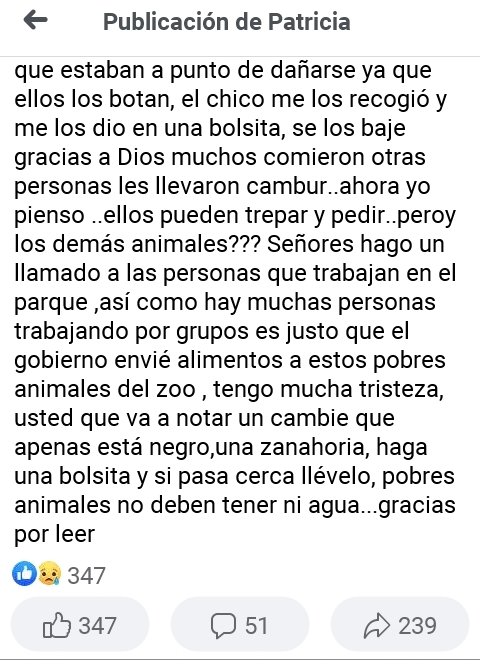 PerroUsuario's tweet photo. Hay que ayudarlos en la medida de nuestras posibilidades RT @mercadoregulado: @PerroUsuario @NevadoCaracas https://t.co/OZo9pABknv