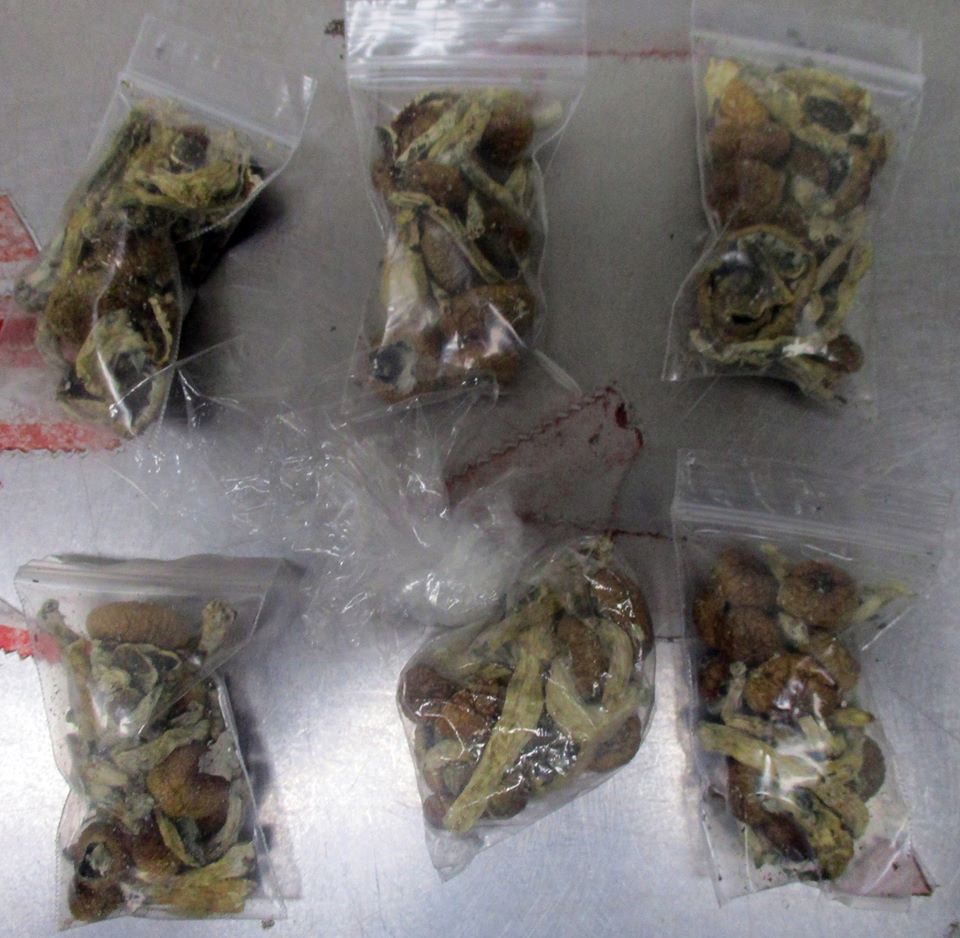 4/20 BUZZ KILL: Fresno County Sheriff's deputies just stopped 24-yr-old Daisy Pedraza and found these in her car.Deputies found LSD (acid), Ecstasy pills, psilocybin mushrooms and marijuana packaged to sell.She apparently told deputies "the drugs were for celebrating 4/20."