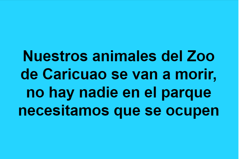 PerroUsuario's tweet photo. #AYUDA @NevadoCaracas RT @indragon25: disculpa me ayudas a difundir por favor https://t.co/RDTPlImAFp