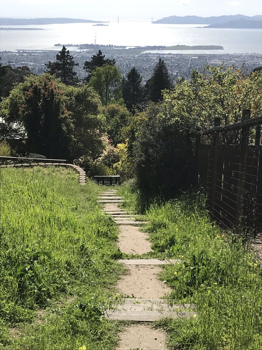 Discovered parts of Berkeley I’d never experienced before. Secret staircases and pathways that felt like I was in some version of the Secret Garden! And the views along the way were spectacular, although the walk up the hill was very steep! <pant pant>  #berkeleyadventures 3/12