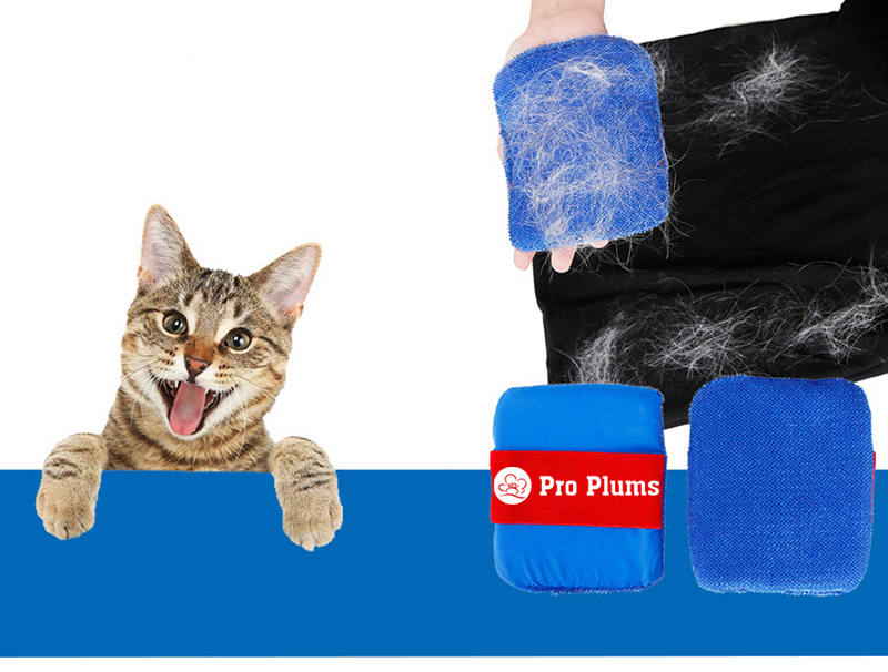 jack76261864's tweet photo. Pro Plums2Pcs/Set Reusable Pet Hair Removal Brush https://t.co/A81PAAHz8r