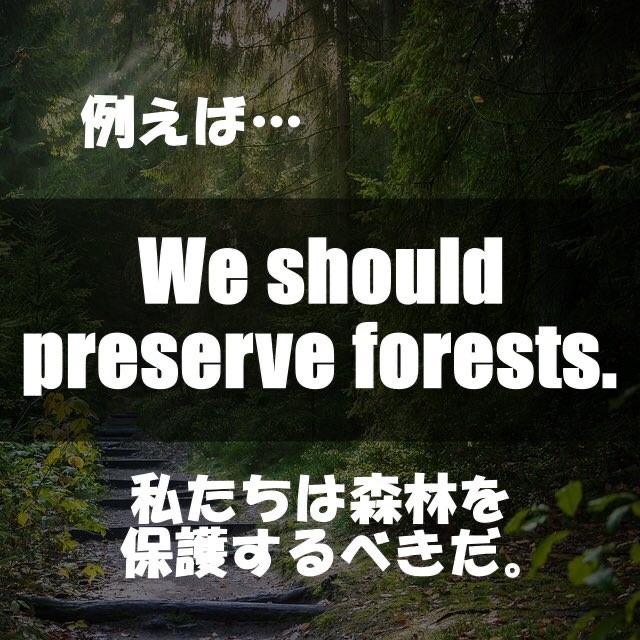 ⭐️今日の単語⭐️

#英会話 #英語 #英語勉強 #英語学習 #英単語