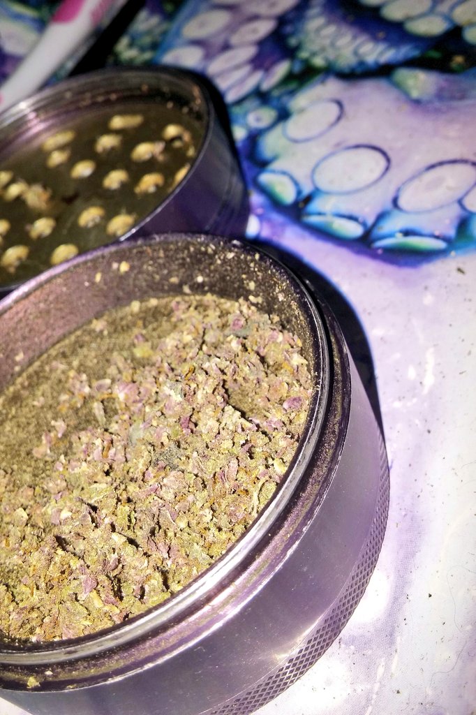 NymphNook's tweet photo. Happy 420! 💚💜
#purple #420FromHome https://t.co/z70rPrtNMD