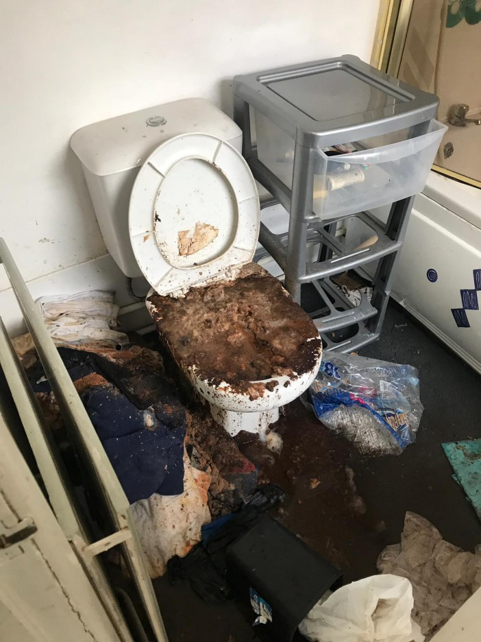 RottenBusDriver's tweet photo. SHIT out of luck, my ass looks like my toilet but burns and smells way worse. I guess I'll go drag my ass in the yard like a dog. #HoardersFuckedMe #JustMyLuck https://t.co/iqEzqbuh2D