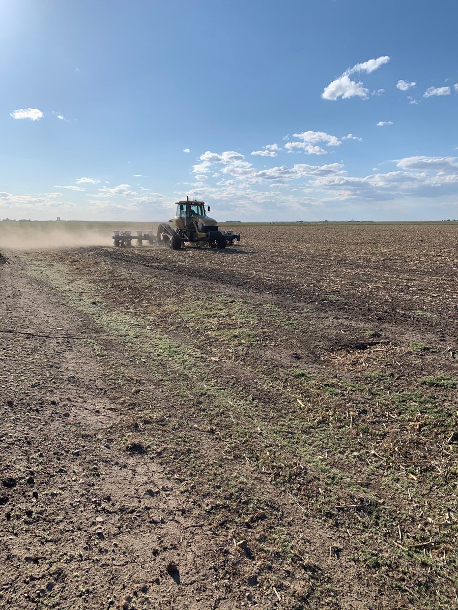 hbusch's tweet photo. Plant 2020 is underway! #corn #cat #kinze #kscorn #GrayCo https://t.co/ExvNTyTX7t