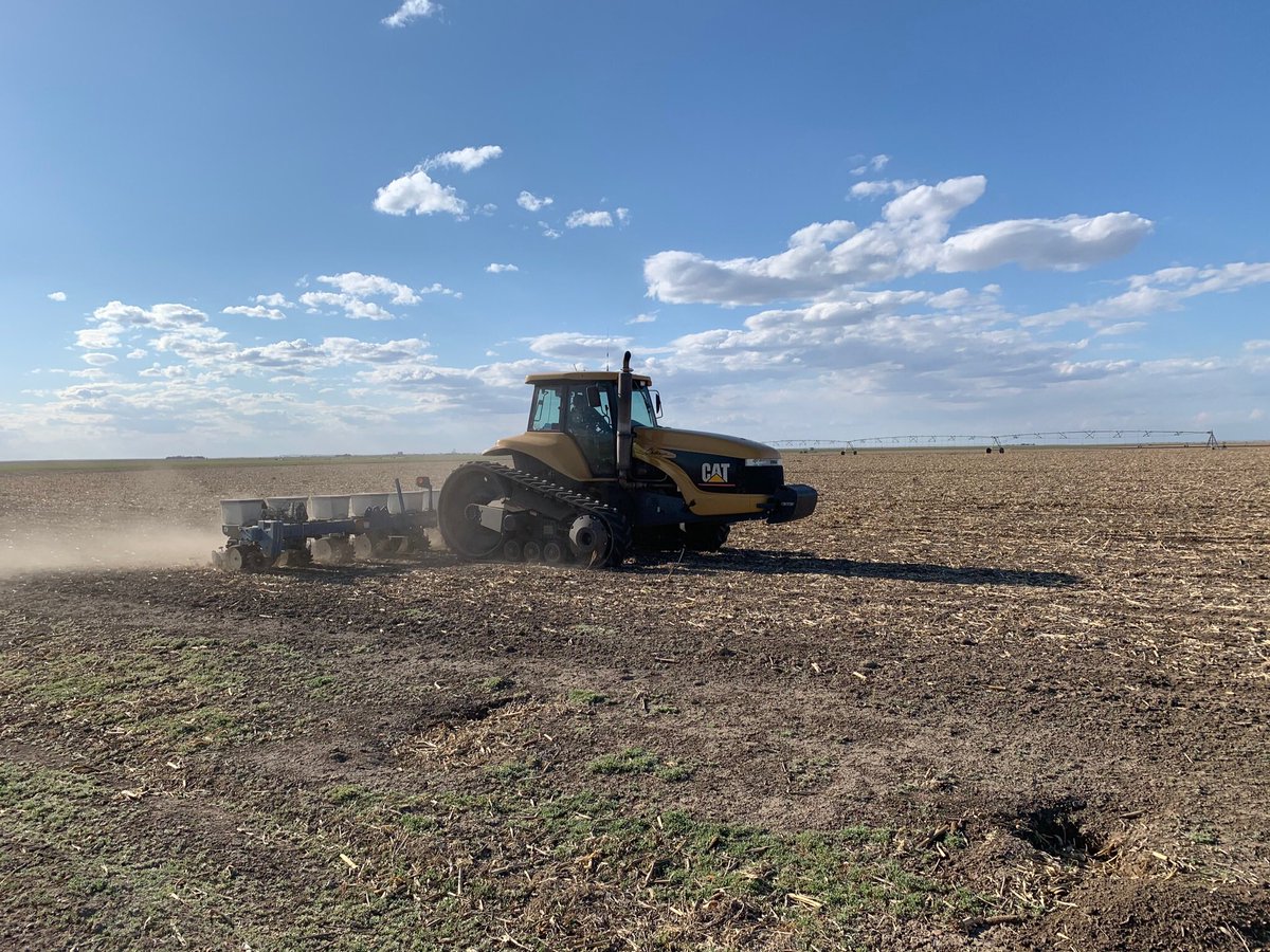 hbusch's tweet photo. Plant 2020 is underway! #corn #cat #kinze #kscorn #GrayCo https://t.co/ExvNTyTX7t