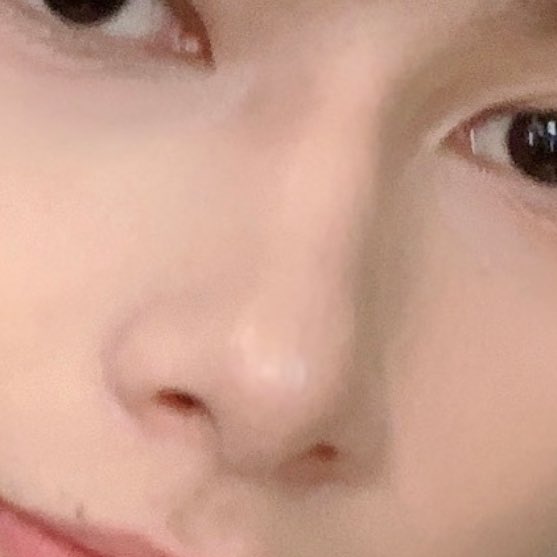 wen junhuia spectacular nose. so delicate and wholesome, a cat’s nose. i cannot stop staring at his nose. the nose that inspired this thread. if i was to draw a nose this would be the nose i would draw. 1000/10