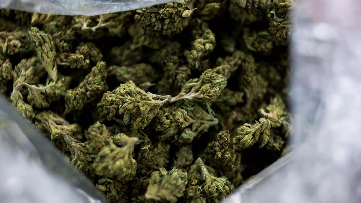 For everyone that is burning it down...this is for you. What is an occasion with out theme music? #smokeweedeveryday #smoke #WeedLovers #CannabisCommunity #medicalmarijuana  420 Medicinal Mix youtu.be/pY0N4KofJ-w via <a href="/YouTube/">YouTube</a> #medica