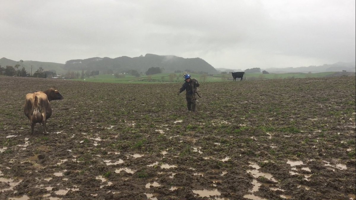 archway_group's tweet photo. Worried about pugging damage during the wet periods?

Check out how we helped solve this common issue for low lying areas with Mike Simpson.

https://t.co/oc4pWjCq83 https://t.co/HztnoKj9PO