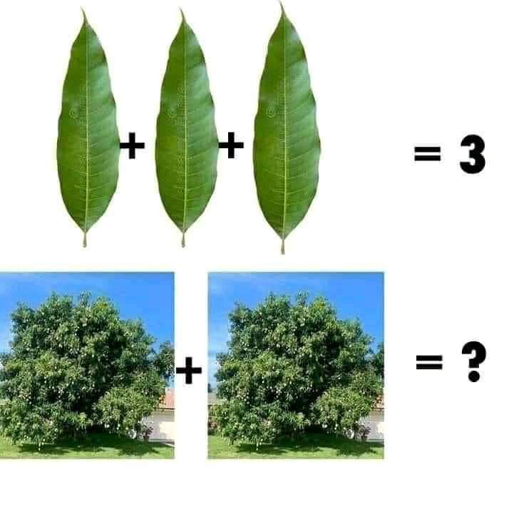 ColMexIngCiv's tweet photo. Todos quedan retados a comentar la respuesta, aver si pueden 🤪
#ingenieriacivil https://t.co/1Olykw2oWL