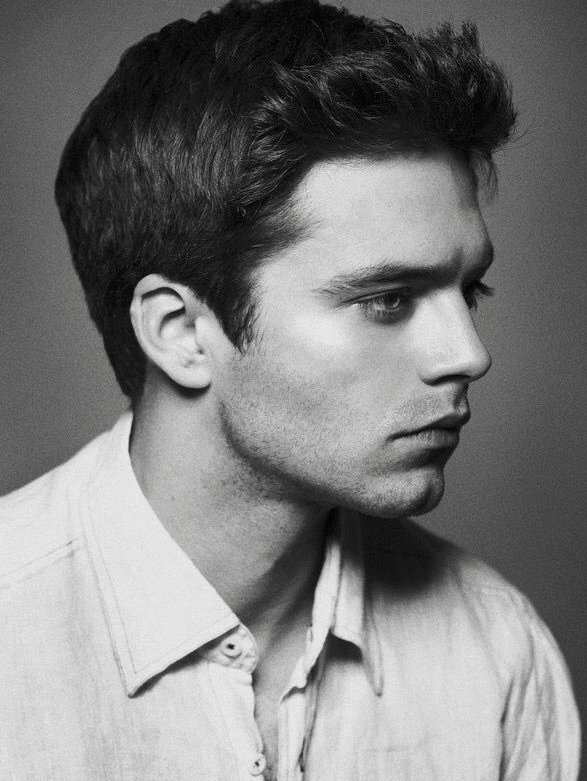 ━ sebastian stan as art ✧ • ° * .